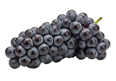 Imagen PNG para descargar